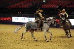 Quadrille - 00786